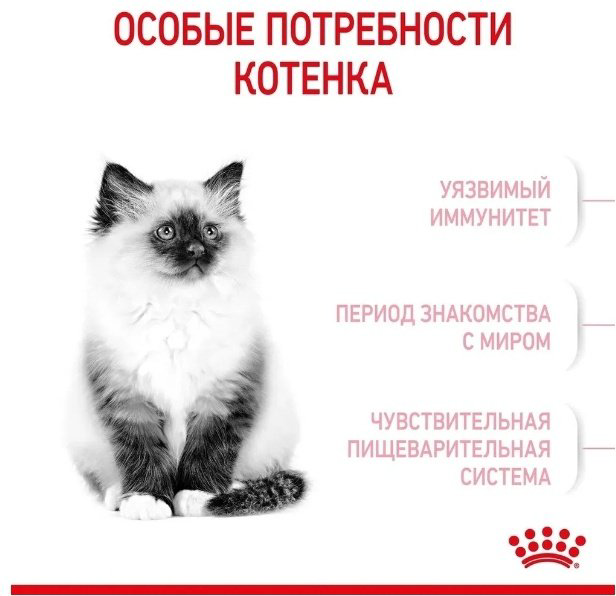 Корм Royal Canin Kitten для котят птица 10 кг купить,NaN