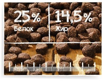 Корм Belcando Mini&Medium Finest GF Lamb ягненок 12.5 кг - ForteMarket Корм Belcando Mini&Medium Finest GF Lamb ягненок 12.5 кг купить,0