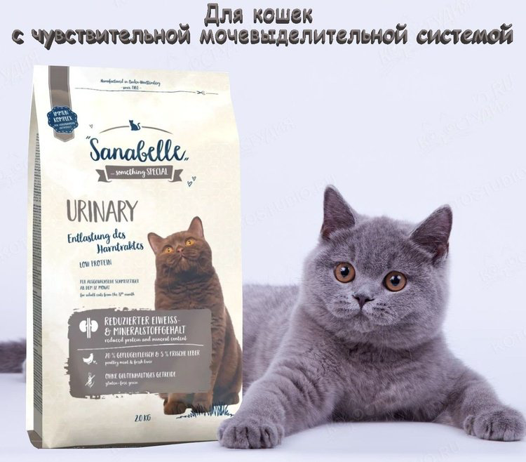 Корм Sanabelle Urinary для кошек с проблемами мочевыделительной системы домашняя птица 10 кг купить,NaN