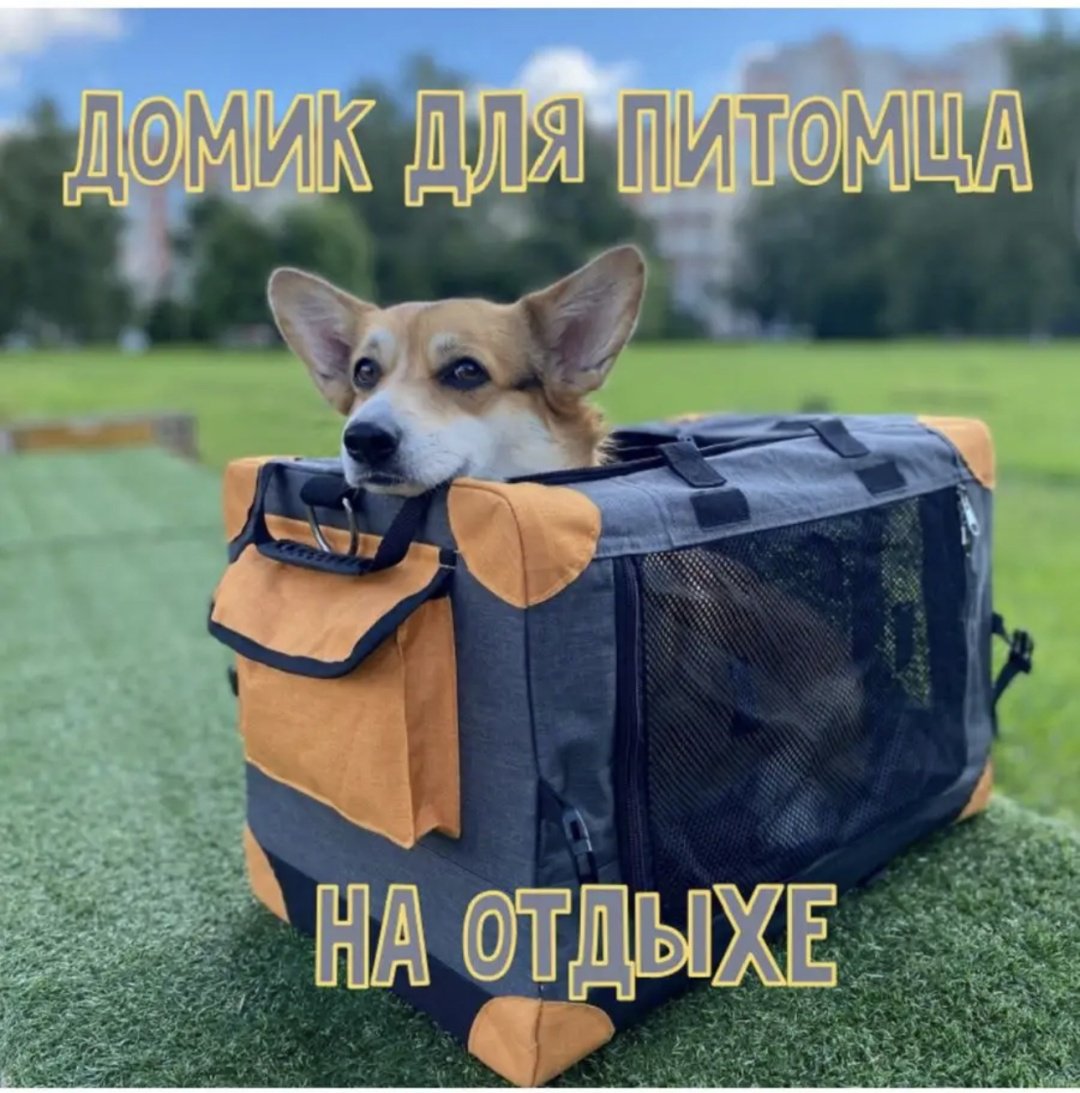 425950485 серый, оранжевый