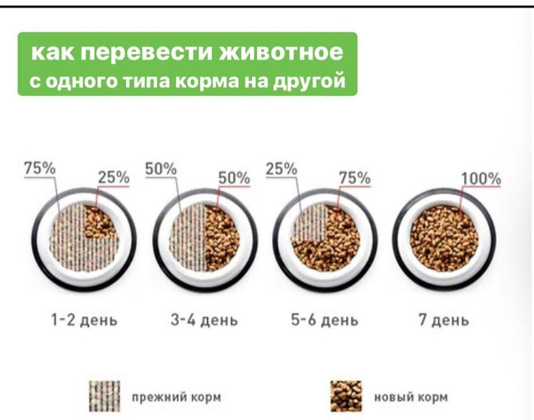 Корм Eminent Vet Diet Dog Renal/Urinary при заболеваниях почек и мочевыводящих путей 11 кг купить,NaN