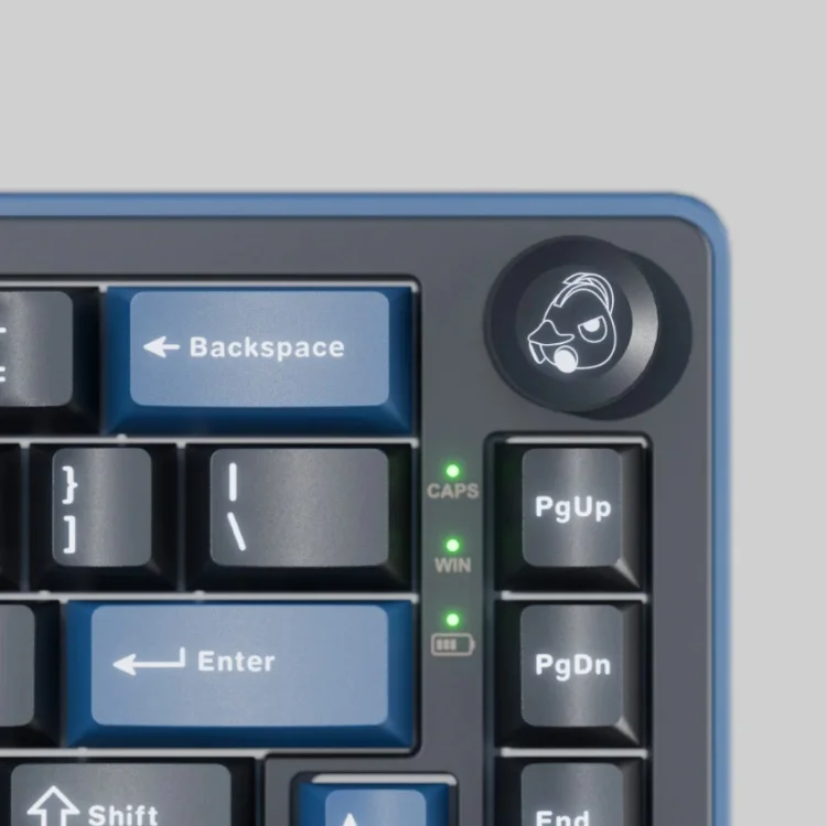 Клавиатура Ducky OK-M-98 Wine Red Switch Black