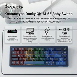 Клавиатура Ducky OK-M-65 Baby Switch Black