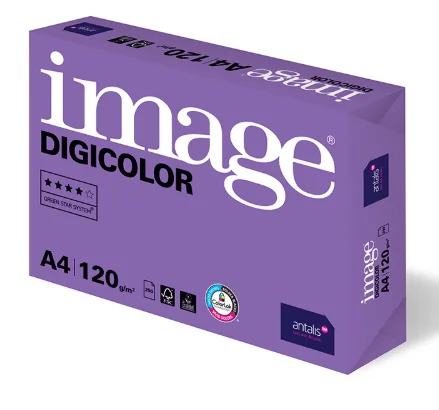  Бумага Image Digicolor A4 160гр 250 листов купить,7013
