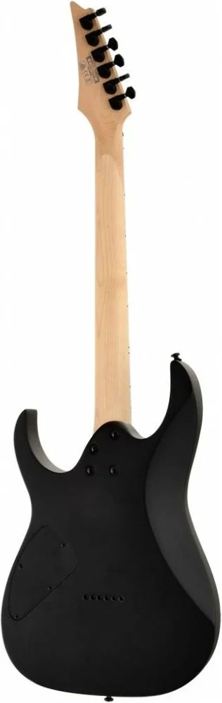 Электрогитара Ibanez GRG121DX-BKF черная - ForteMarket Электрогитара Ibanez GRG121DX-BKF черная купить,0