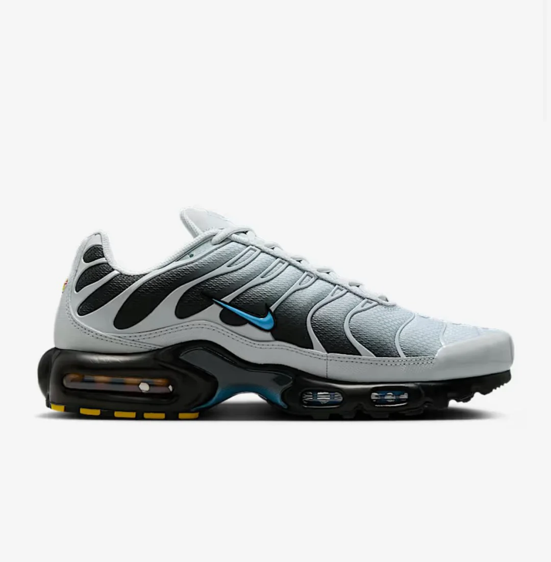 Кроссовки Nike Air Max Plus DM0032-015 grey-blue 43.5 купить,NaN