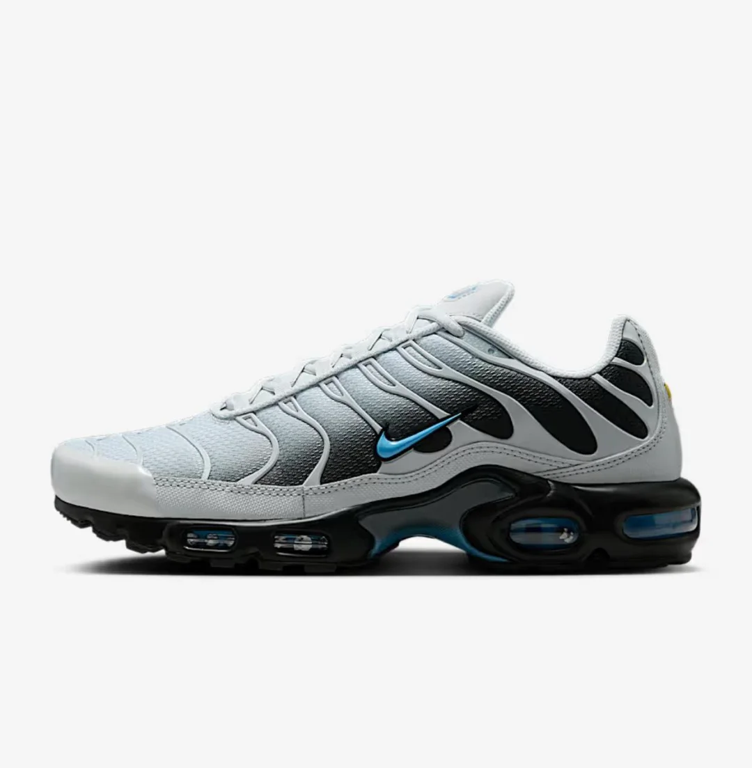 Кроссовки Nike Air Max Plus DM0032-015 grey-blue 43.5 купить,NaN