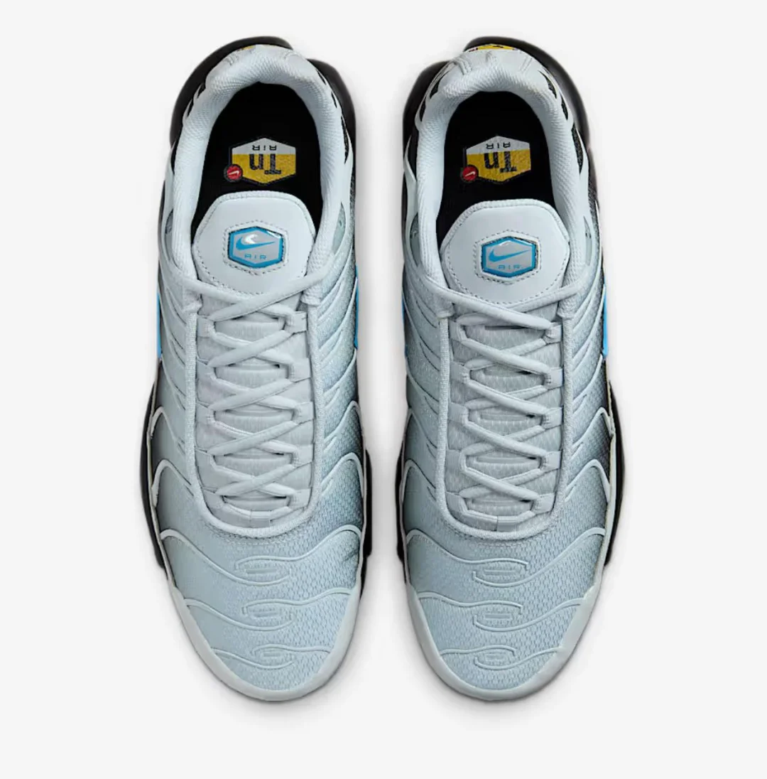 Кроссовки Nike Air Max Plus DM0032-015 grey-blue 43.5 купить,NaN
