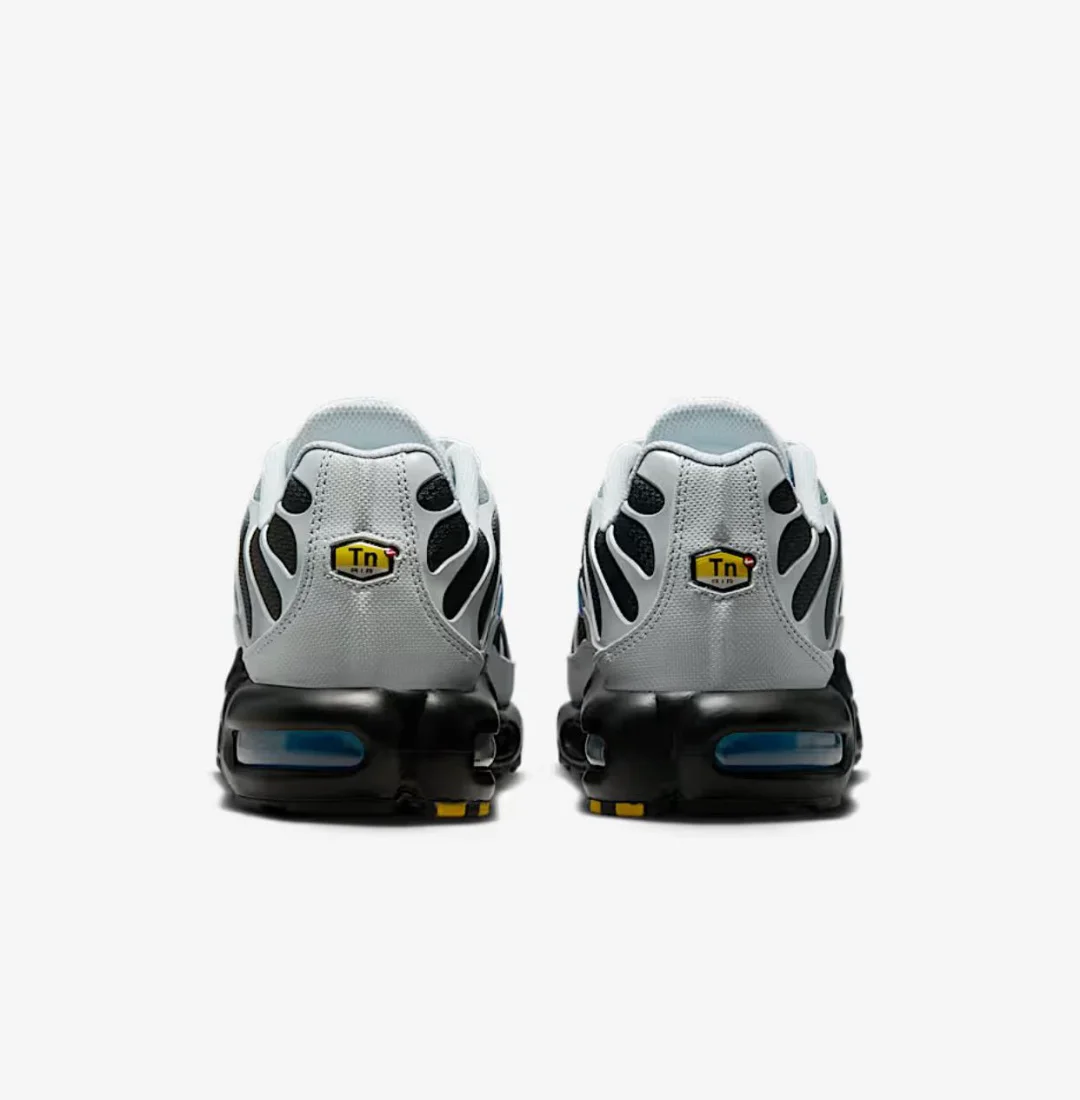 Кроссовки Nike Air Max Plus DM0032-015 grey-blue 43.5 купить,NaN