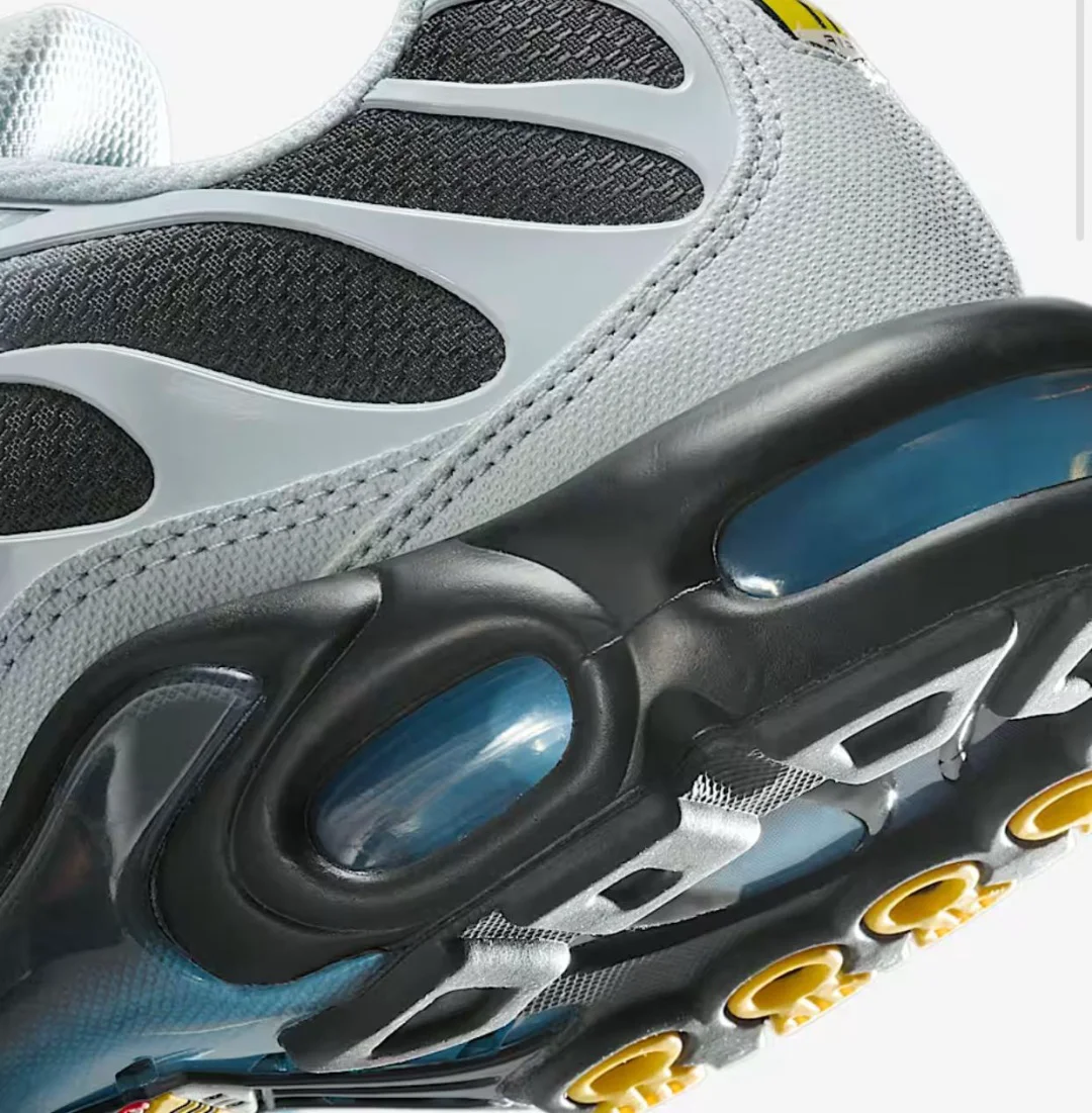 Кроссовки Nike Air Max Plus DM0032-015 grey-blue 43.5 купить,NaN