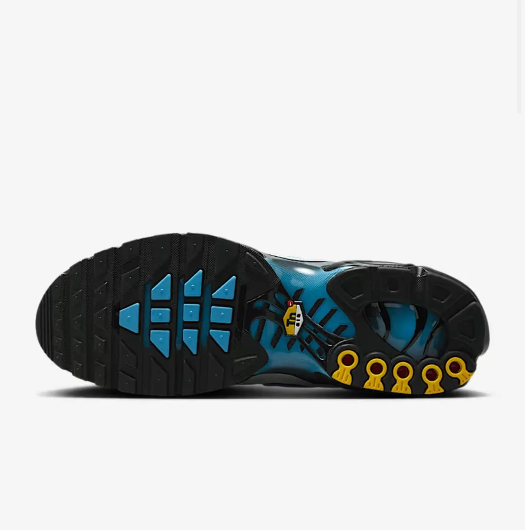Кроссовки Nike Air Max Plus DM0032-015 grey-blue 43.5 купить,NaN