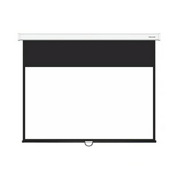 Экран настенный Deluxe DLS-M265x149W белый