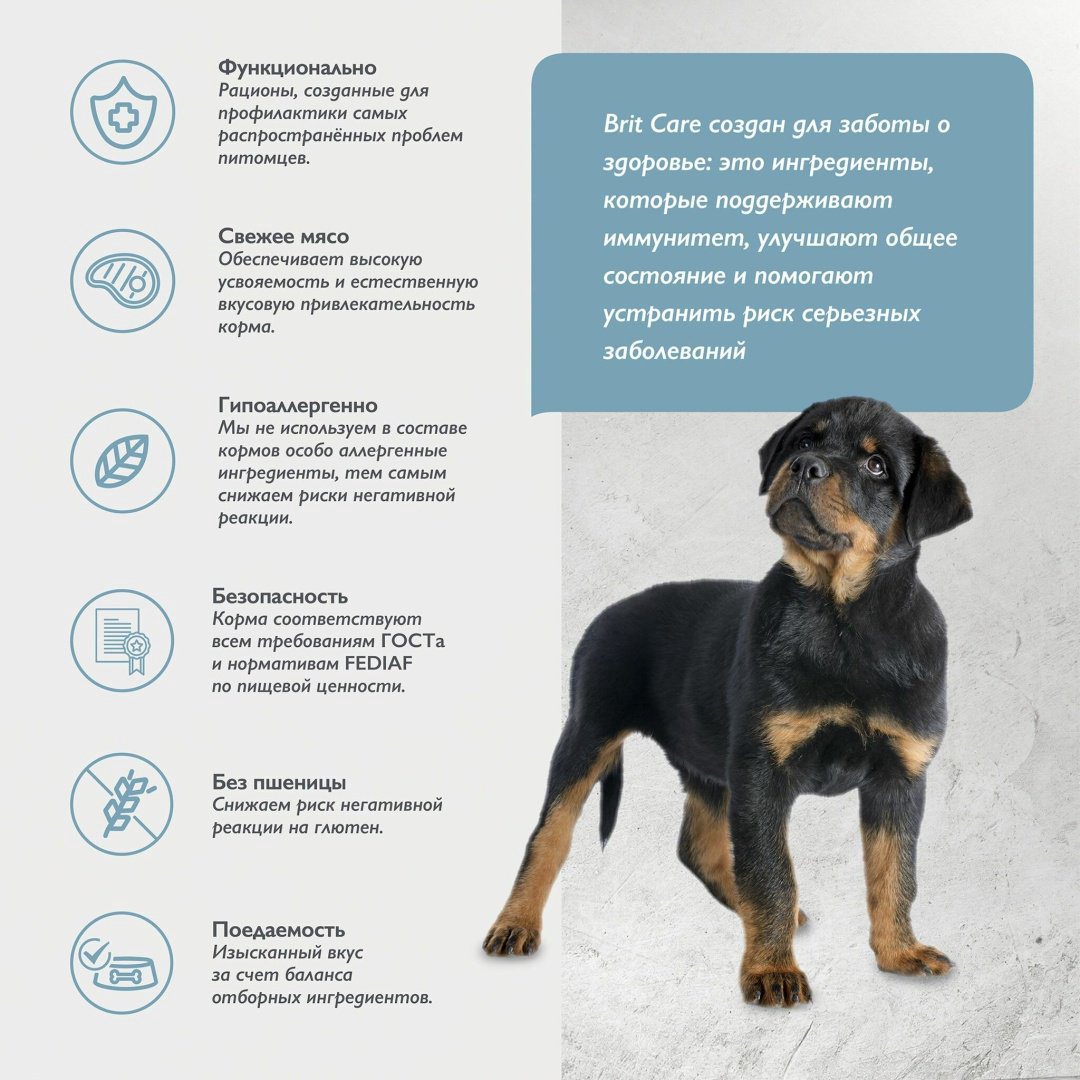 Корм Brit Care Puppy&amp;Junior Large Индейка и ягненок для щенков крупных пород 12 кг купить,NaN