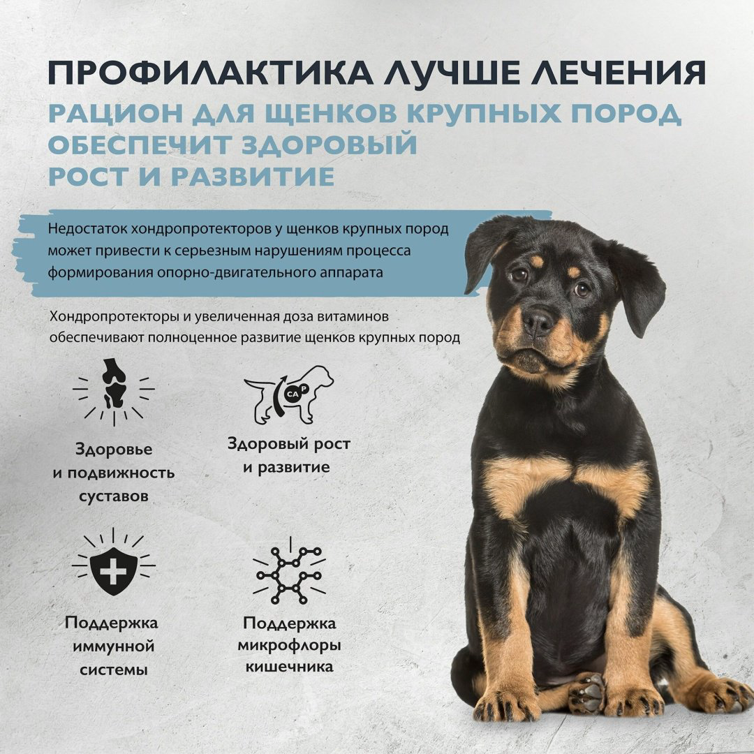 Корм Brit Care Puppy&amp;Junior Large Индейка и ягненок для щенков крупных пород 12 кг купить,NaN