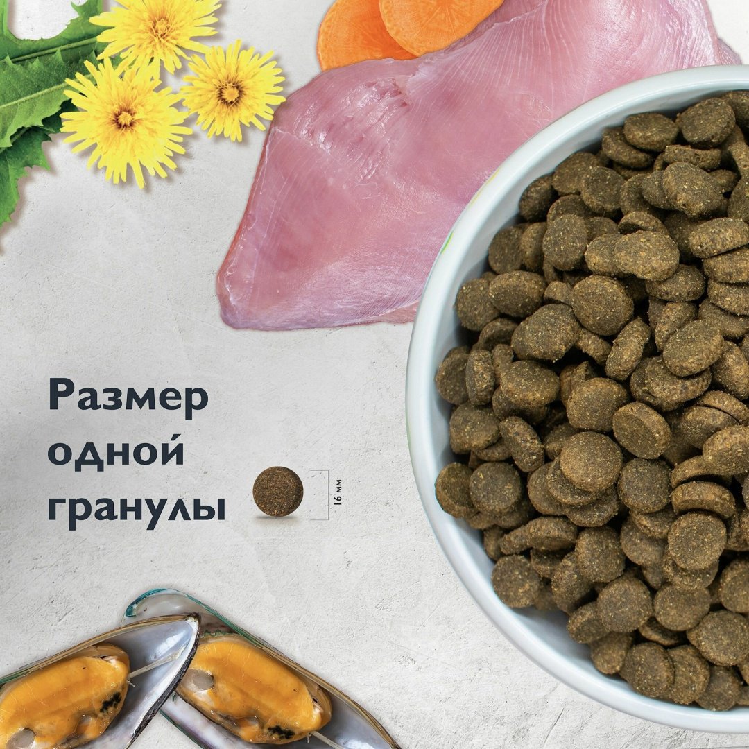 Корм Brit Care Puppy&amp;Junior Large Индейка и ягненок для щенков крупных пород 12 кг купить,NaN