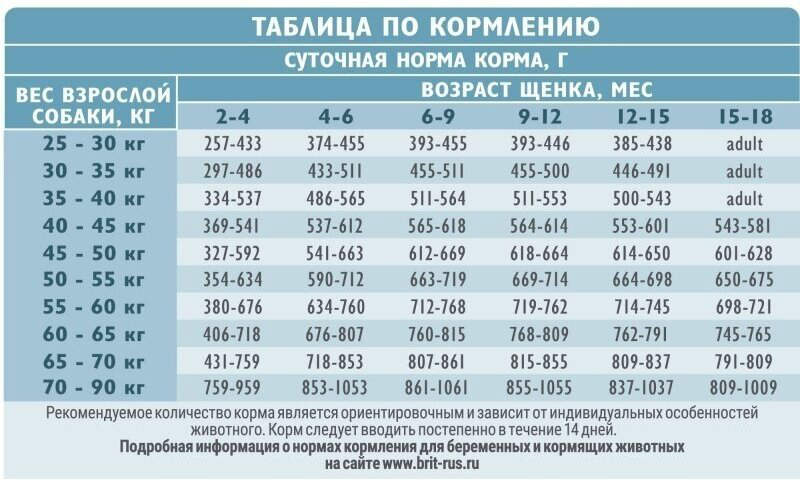 Корм Brit Care Puppy&amp;Junior Large Индейка и ягненок для щенков крупных пород 12 кг купить,NaN