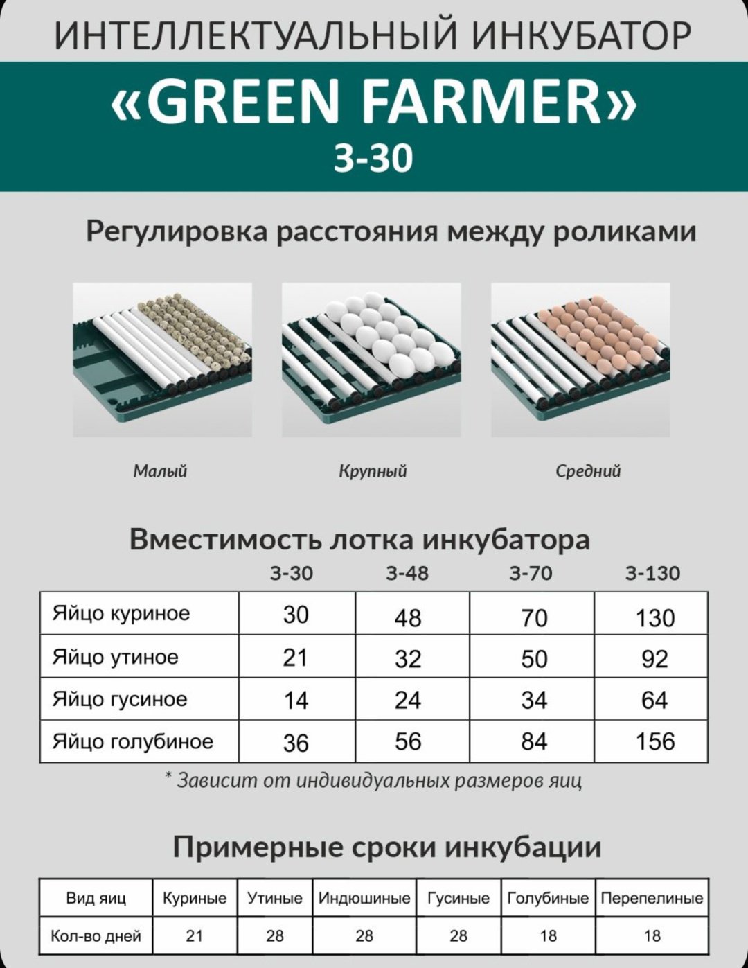 GREEN FARMER инкубатор З-30, вместимость: 30 шт - ForteMarket GREEN FARMER инкубатор З-30, вместимость: 30 шт купить,0