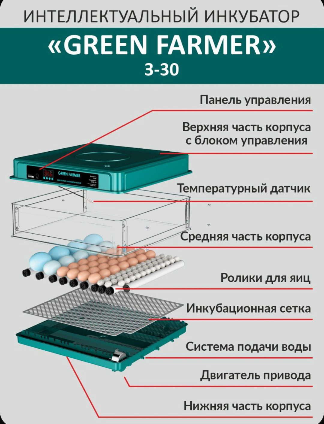 GREEN FARMER инкубатор З-30, вместимость: 30 шт купить,NaN