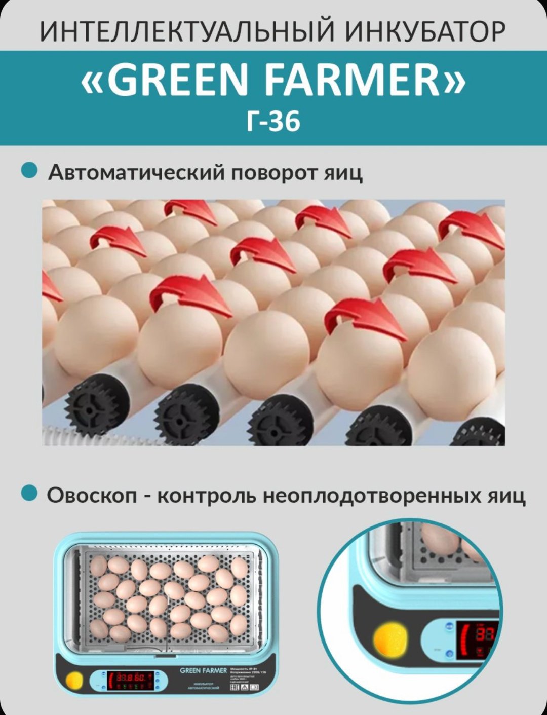 GREEN FARMER инкубатор Г-36, вместимость: 36 шт - ForteMarket GREEN FARMER инкубатор Г-36, вместимость: 36 шт купить,0