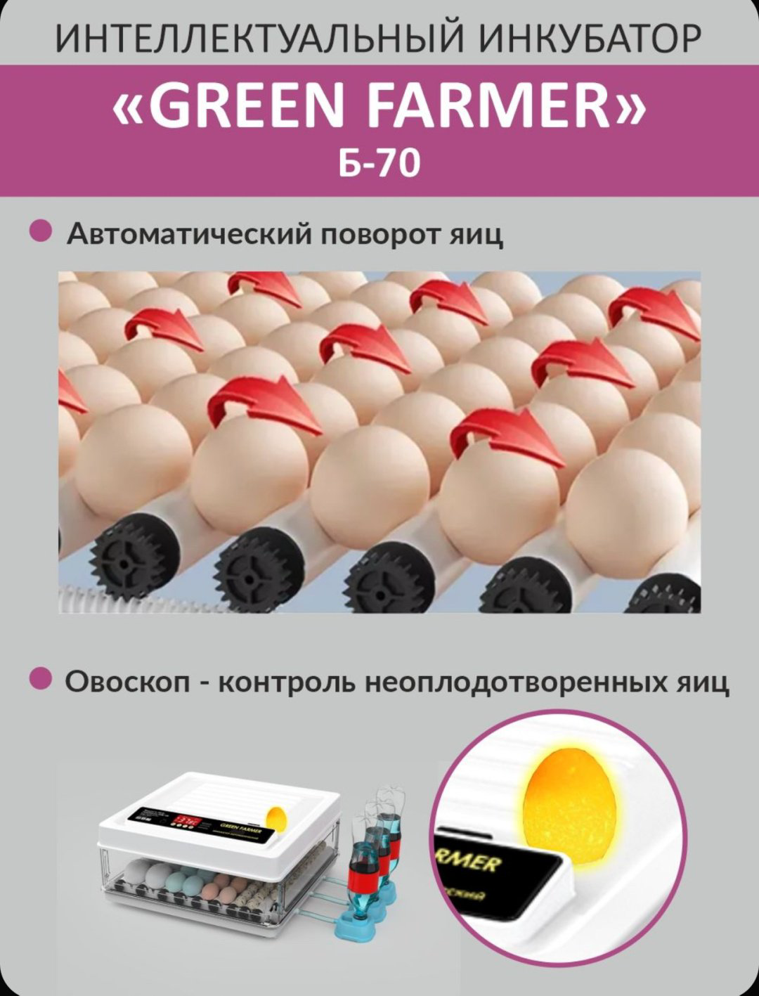 GREEN FARMER инкубатор Б-70, вместимость: 70 шт купить,NaN