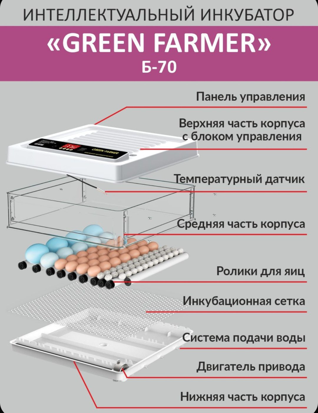 GREEN FARMER инкубатор Б-70, вместимость: 70 шт купить,NaN