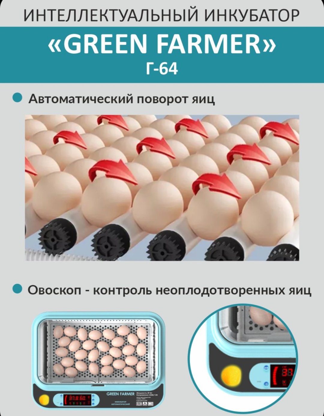GREEN FARMER инкубатор Г-64, вместимость: 64 шт - ForteMarket GREEN FARMER инкубатор Г-64, вместимость: 64 шт купить,0