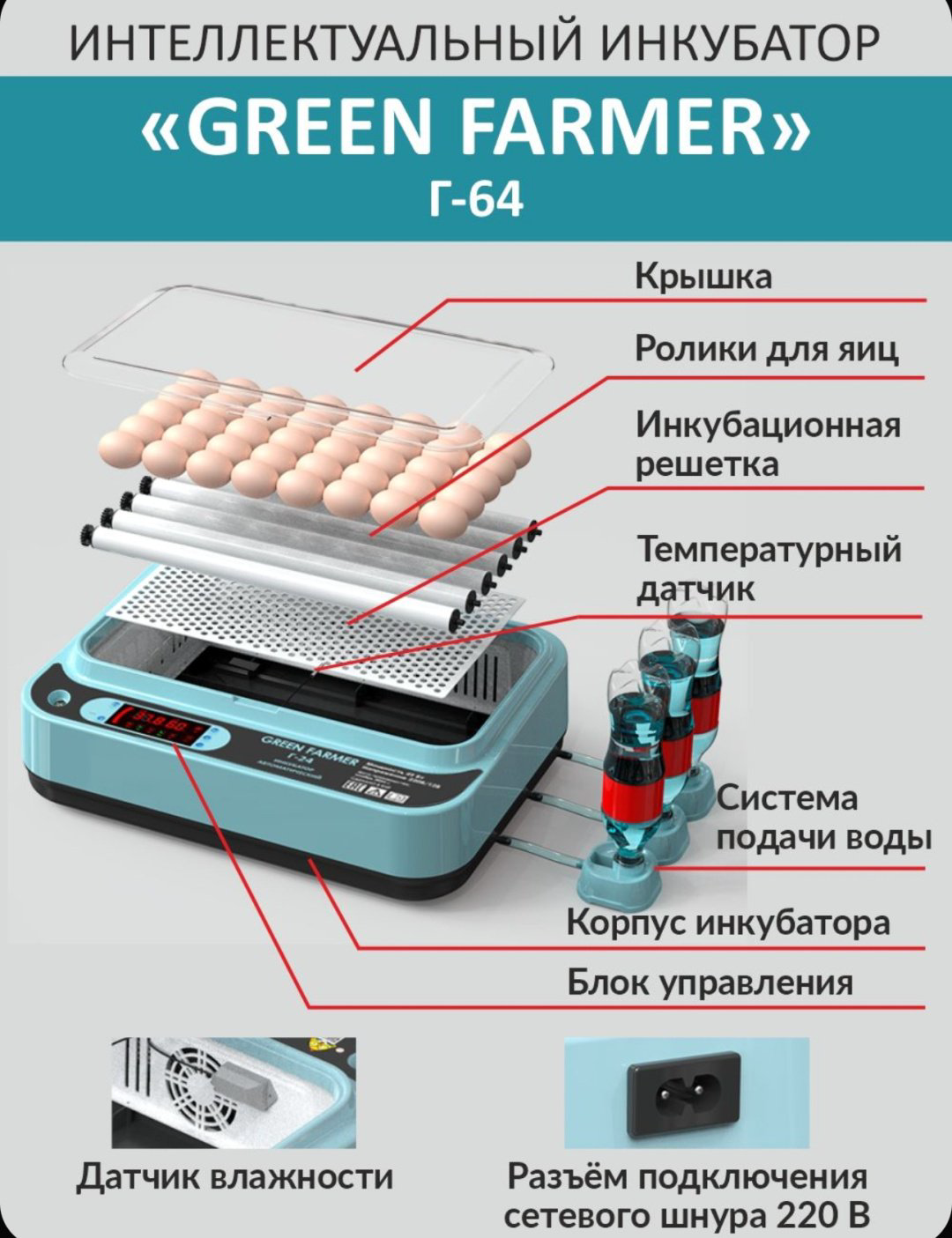 GREEN FARMER инкубатор Г-64, вместимость: 64 шт купить,NaN
