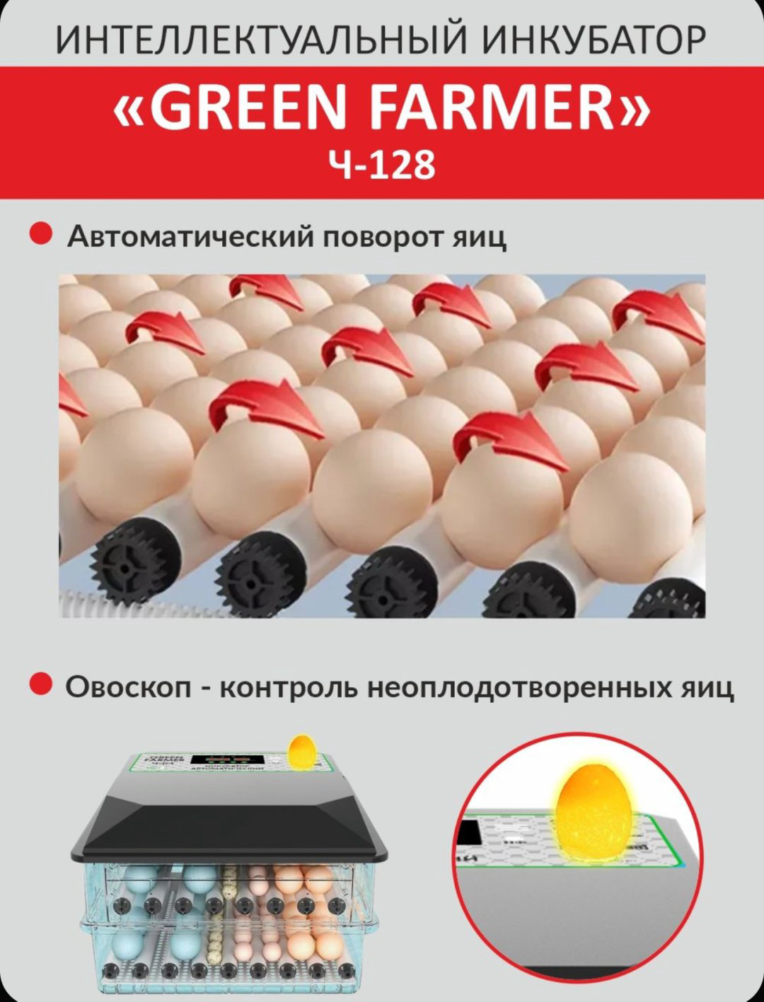 GREEN FARMER инкубатор Ч-128, вместимость: 128 шт купить,NaN