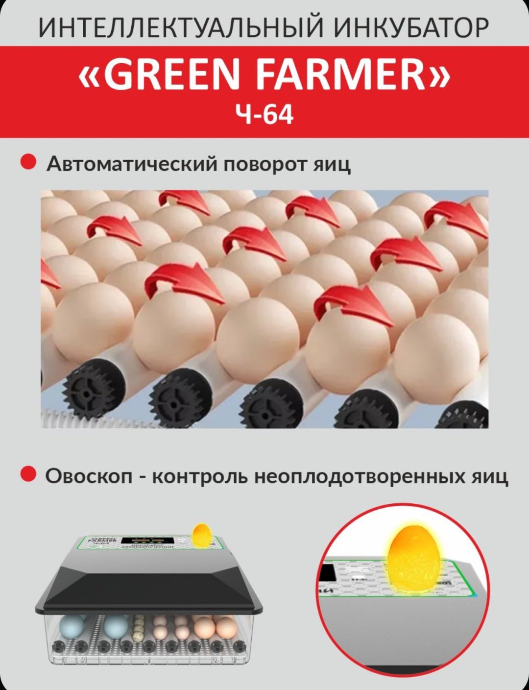 GREEN FARMER инкубатор Ч-64, вместимость: 64 шт - ForteMarket GREEN FARMER инкубатор Ч-64, вместимость: 64 шт купить,0