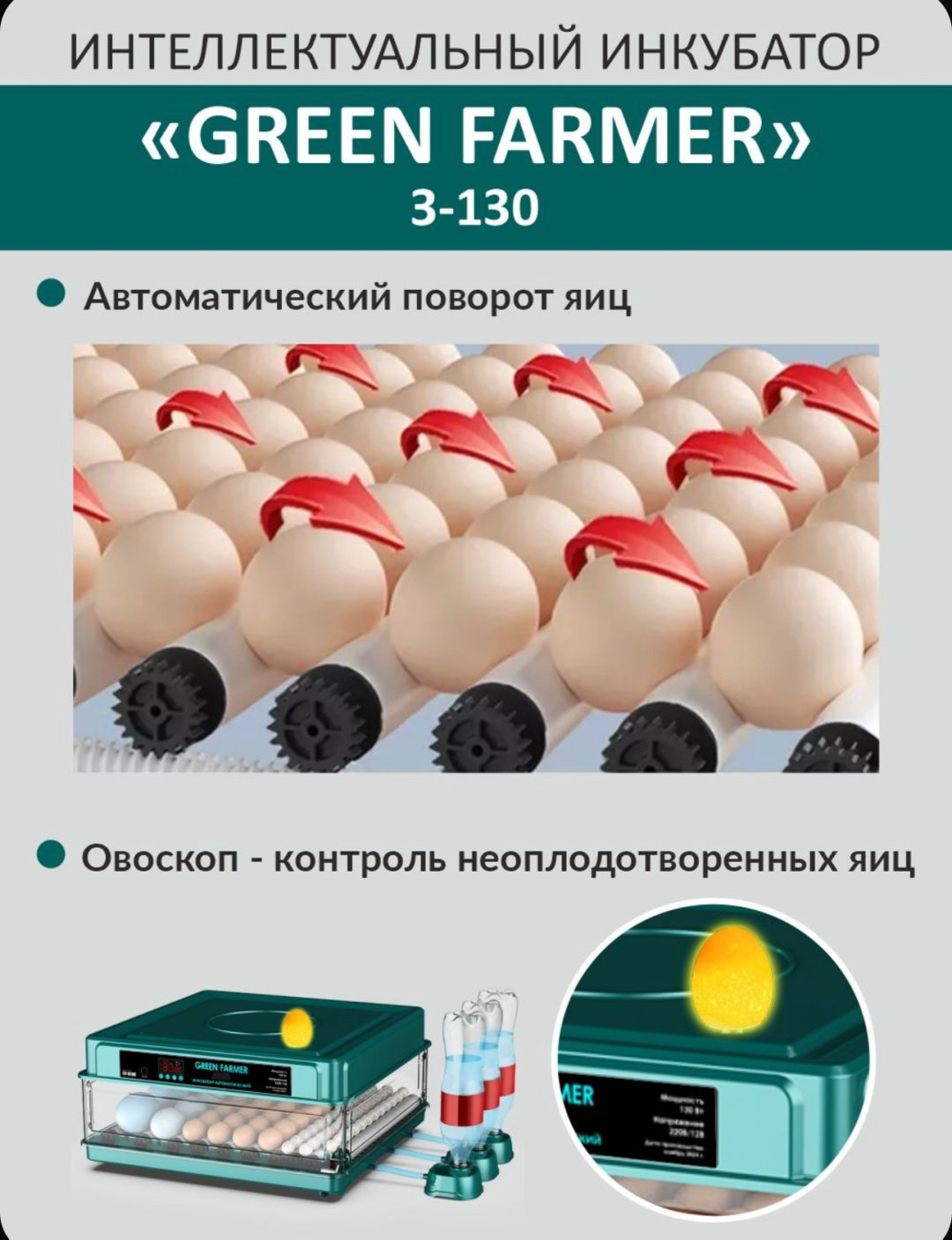 GREEN FARMER инкубатор 3-130, вместимость: 130 шт купить,NaN