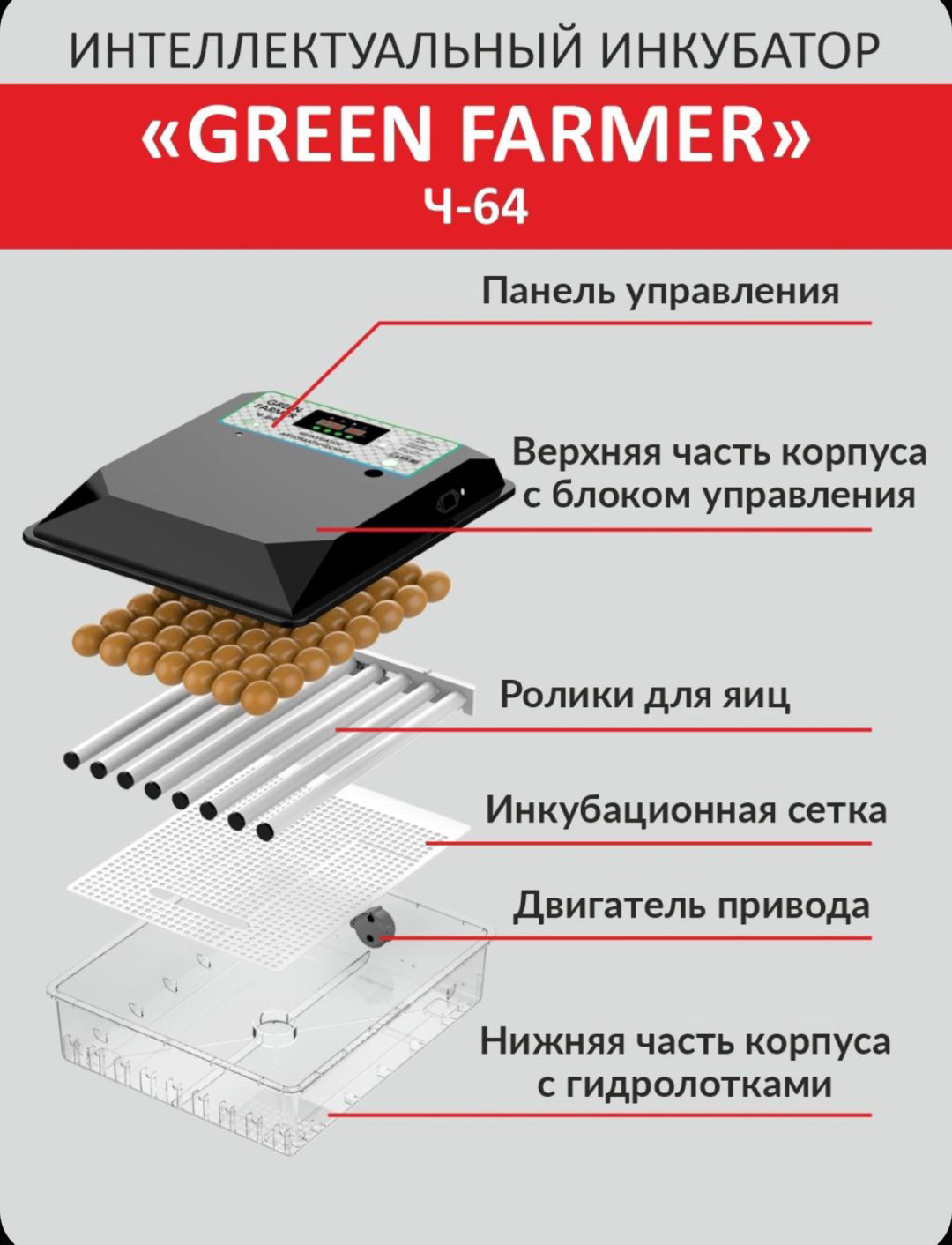 GREEN FARMER инкубатор Ч-64, вместимость: 64 шт купить,NaN