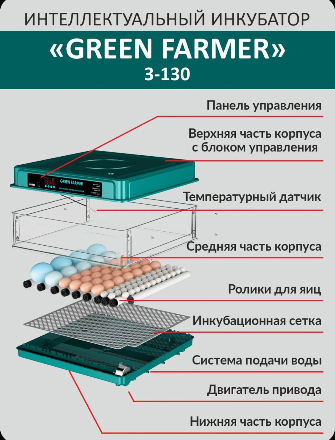 GREEN FARMER инкубатор 3-130, вместимость: 130 шт купить,NaN