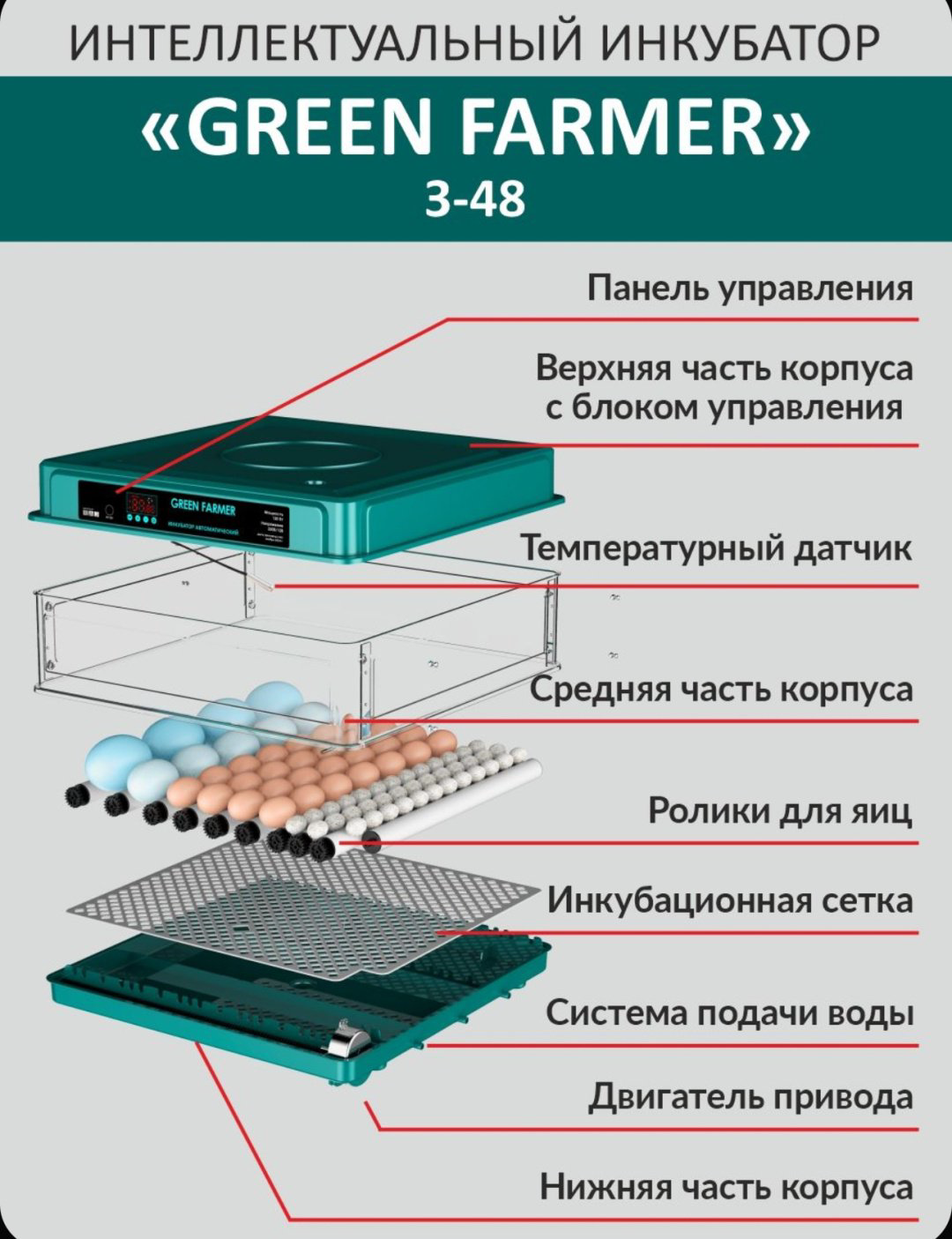 GREEN FARMER инкубатор З-48, вместимость: 48 шт купить,NaN