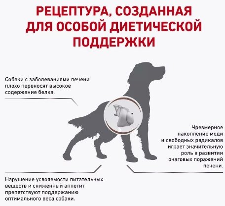Корм Royal Canin Hepatic при проблемах с печенью 12 кг - ForteMarket Корм Royal Canin Hepatic при проблемах с печенью 12 кг купить,0