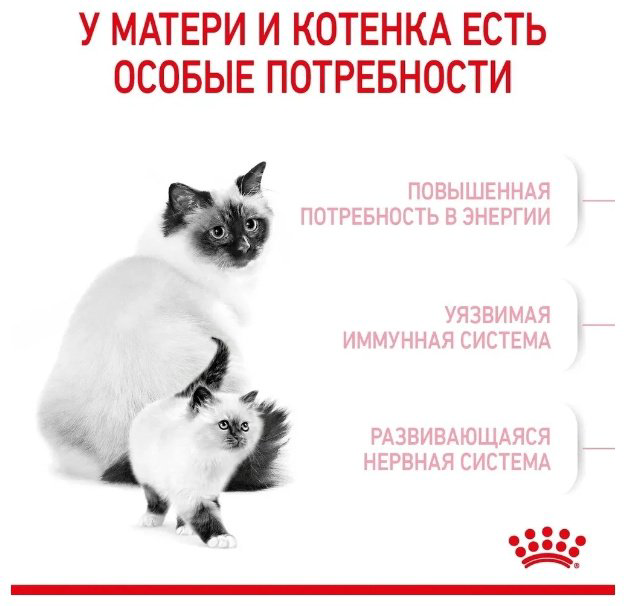 Корм Royal Canin Mother &amp; BabyCat, 10 кг купить,NaN
