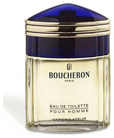 Туалетная вода Boucheron Pour Homme EDT для мужчин 100мл - ForteMarket Туалетная вода Boucheron Pour Homme EDT для мужчин 100мл купить,20190