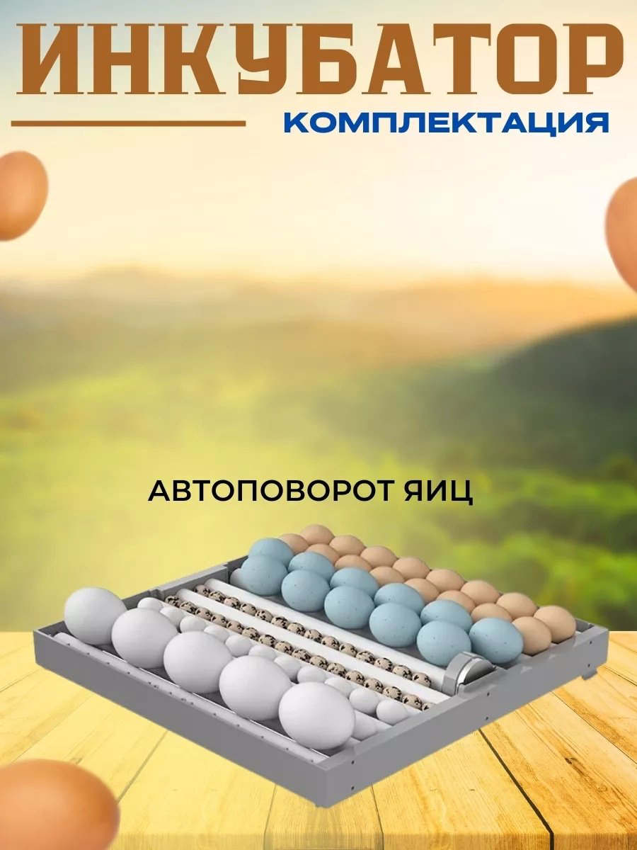 Птицевод инкубатор, вместимость: 192 шт купить,NaN