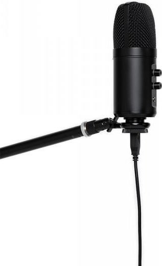 Микрофон Stagg SUSM60D USB черный купить,NaN