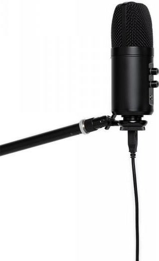 Микрофон Stagg SUSM60D USB черный купить,NaN
