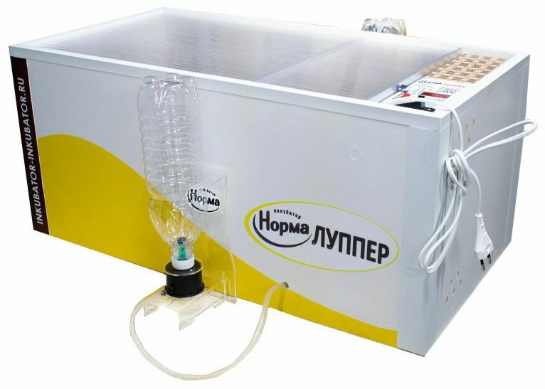 Норма инкубатор, вместимость: 72 шт купить,NaN