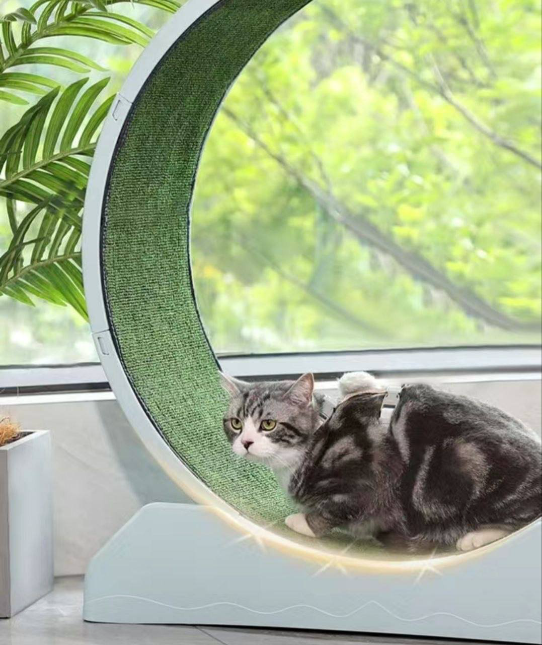 Беговое колесо для самостоятельных игр пластик купить,NaN