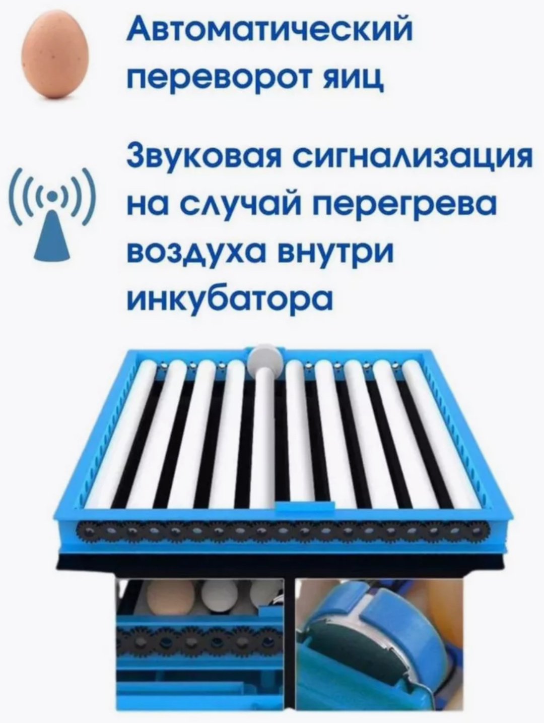 Бизон Инкубатор 256 Синий, вместимость: 256 шт - ForteMarket Бизон Инкубатор 256 Синий, вместимость: 256 шт купить,0