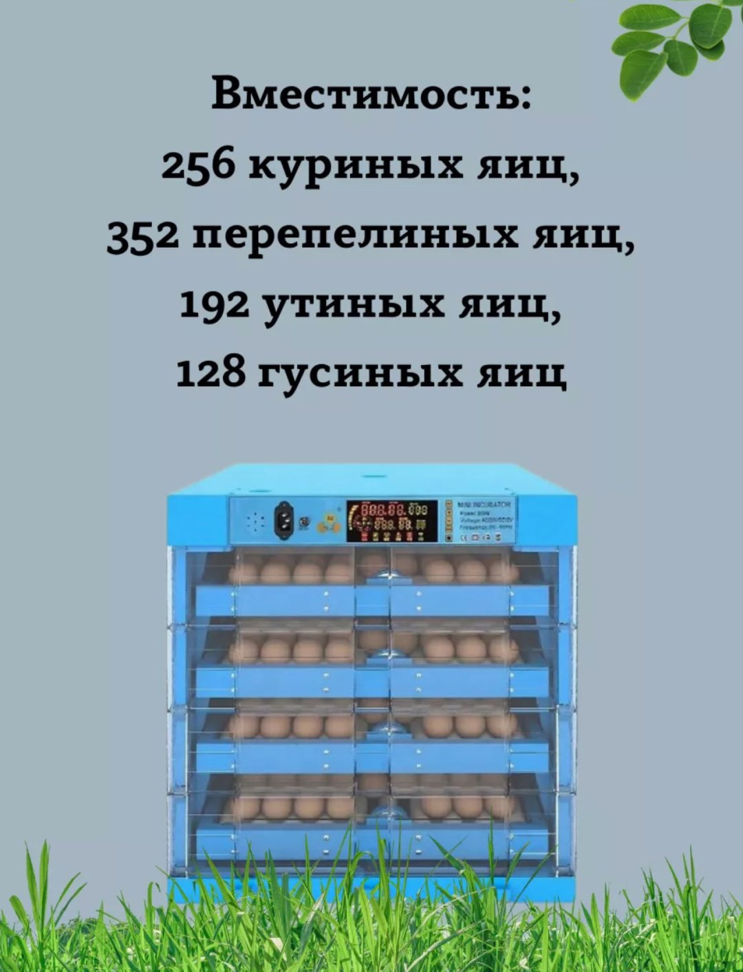 Бизон Инкубатор 256 Синий, вместимость: 256 шт - ForteMarket Бизон Инкубатор 256 Синий, вместимость: 256 шт купить,0