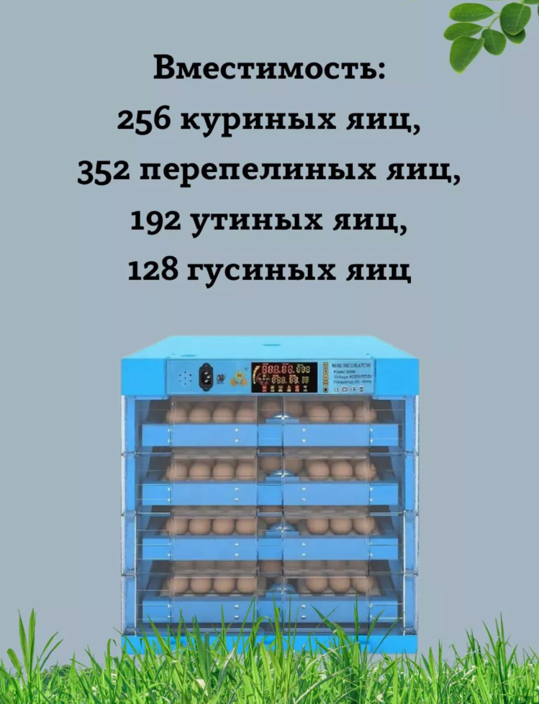 Бизон Инкубатор 256 Синий, вместимость: 256 шт купить,NaN