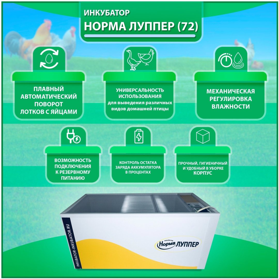 Блиц Норма Луппер инкубатор, вместимость: 72 шт купить,0