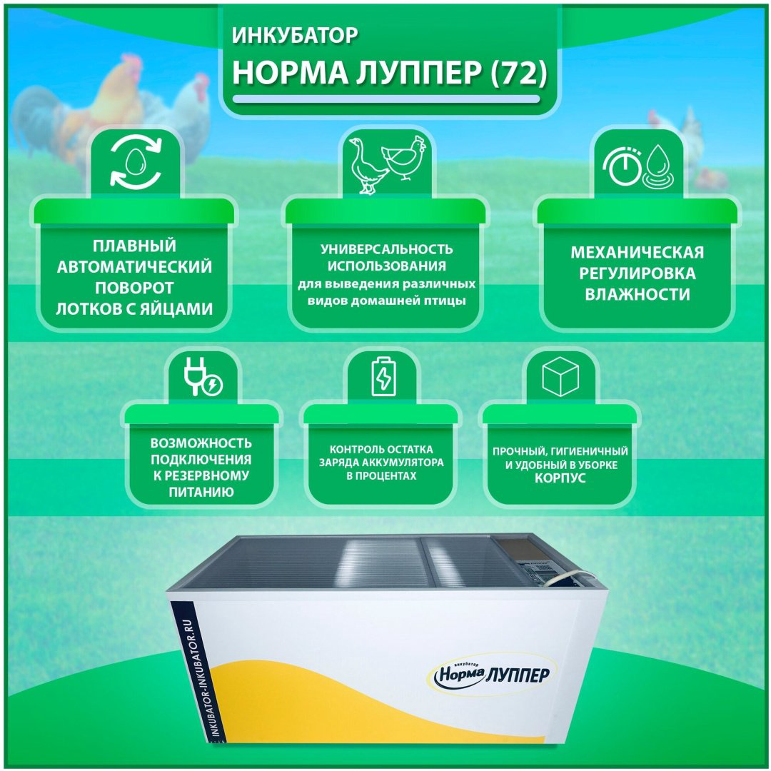 Блиц Норма Луппер инкубатор, вместимость: 72 шт купить,NaN