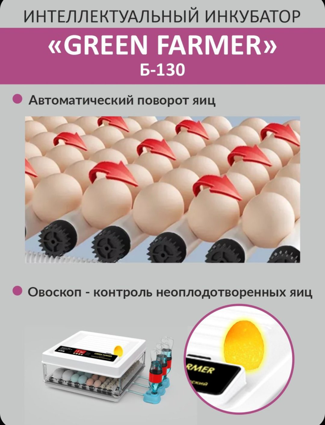 GREEN FARMER инкубатор Б-130, вместимость: 130 шт купить,NaN