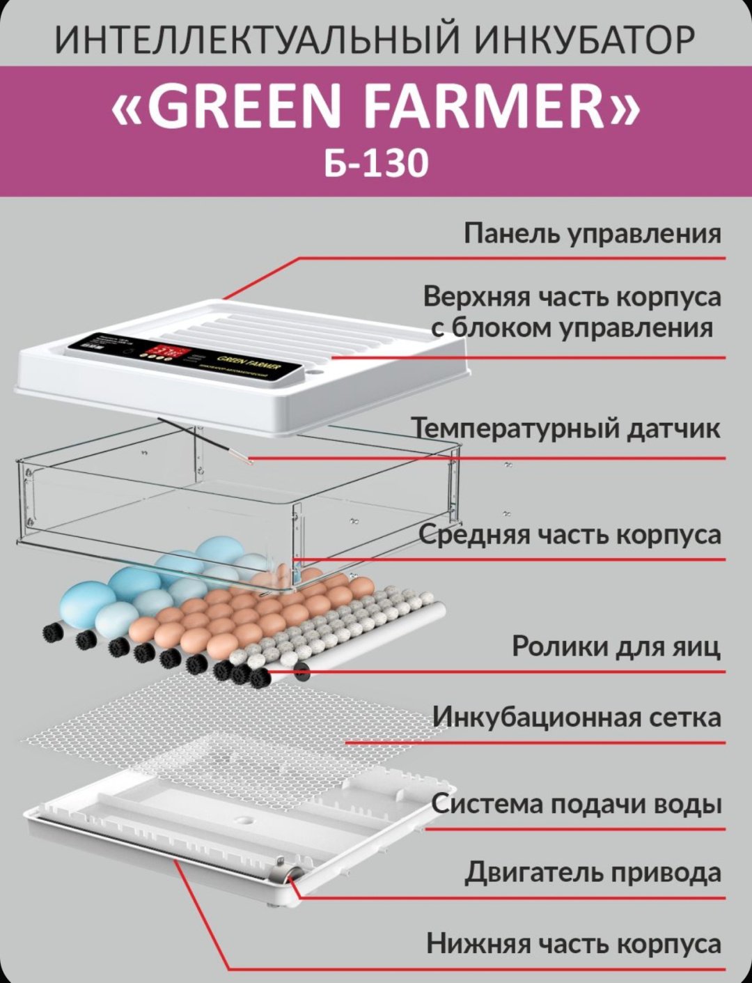 GREEN FARMER инкубатор Б-130, вместимость: 130 шт купить,0