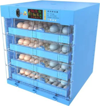 Инкубатор, вместимость: 256 шт купить,NaN