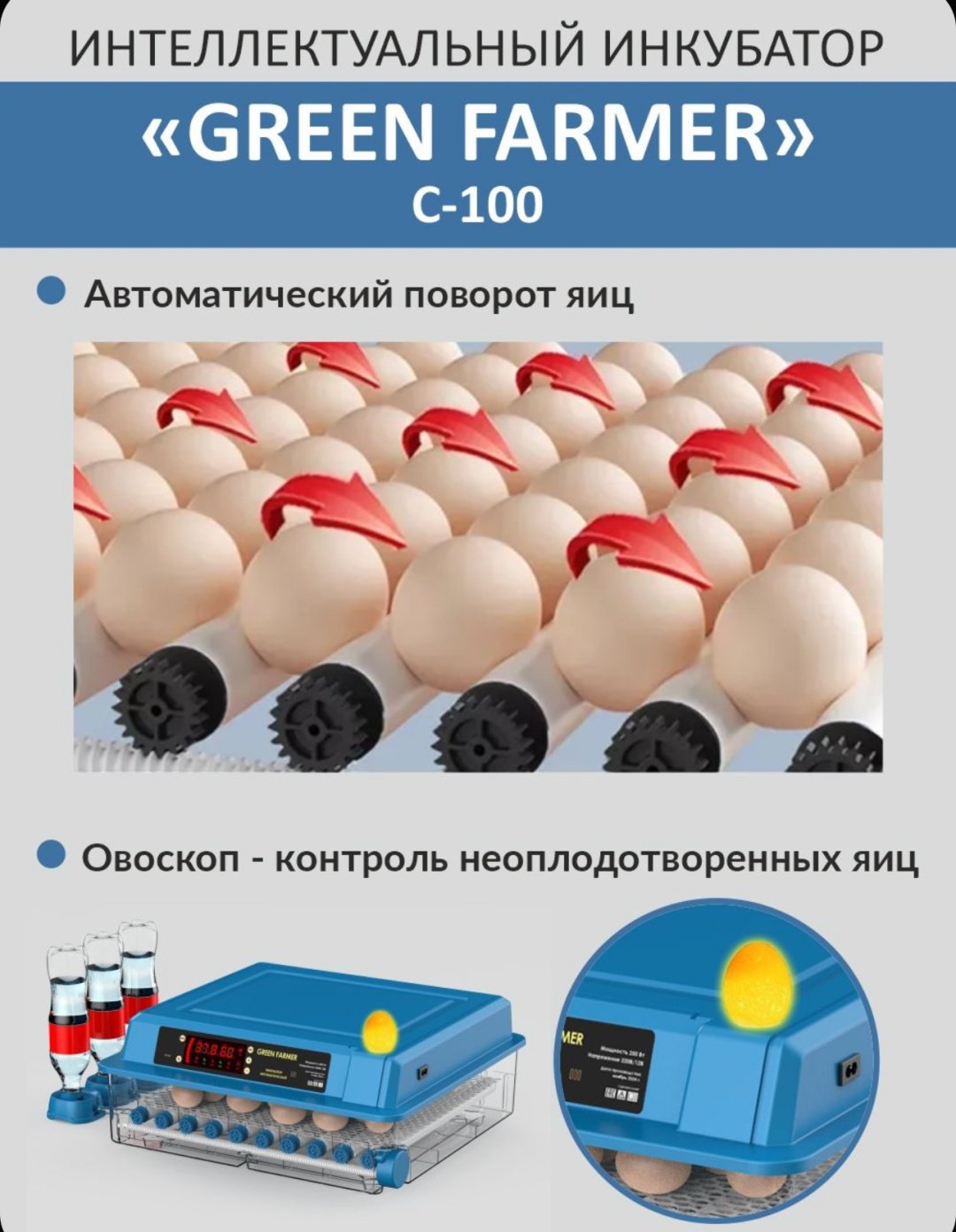 Инкубатор, вместимость: 99 шт купить,0